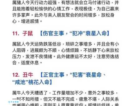 动力十足是指什么生肖，仔细落实