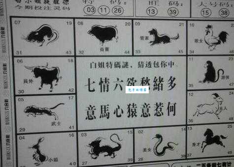木人石心是什么生肖，仔细解释落实