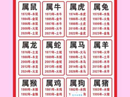 自由散漫是什么生肖，仔细解释落实