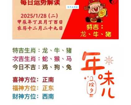 逆流而上是什么生肖，仔细解释落实