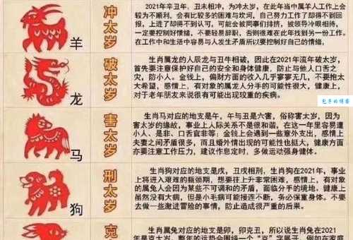动力十足打猜最佳准确生肖，答案解答落实
