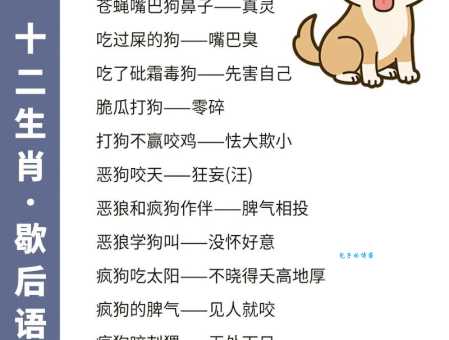 食不终味打一最佳生肖是指什么生肖，重点解释落实