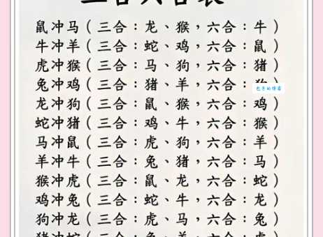 敦敦实实打一最佳生肖是什么生肖，经典解答落实