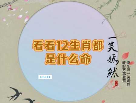 缺斤短两打一最佳生肖是指什么生肖，重点解释落实