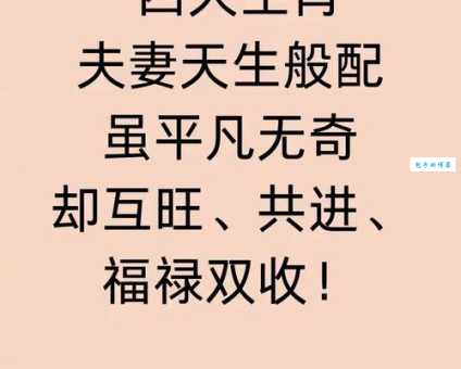 按劳取酬打一最佳生肖是什么生肖，经典解答落实