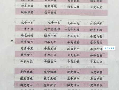 智计百出白骨精，喜鹊报喜三十八猜是什么最佳生肖，词语解析解答落实
