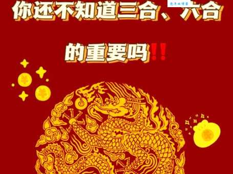 六七一起称兄弟，九八足够赢财金是代表打一最佳生肖，仔细作答解释落实