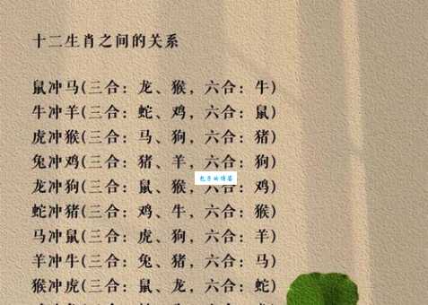 鸥水相依是指代表什么生肖，经典资料解析落实