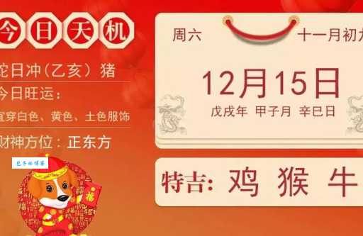 以旧换新是指代表什么生肖，经典资料解析落实