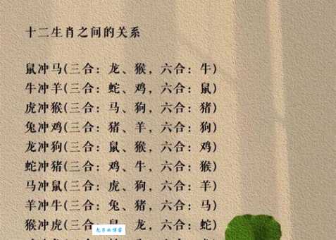鸥水相依代表是指什么生肖，刚刚揭晓解释落实
