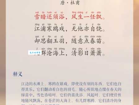 鸥水相依代表是什么生肖，精选快答解释落实