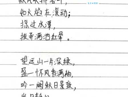 自强不息是指哪个生肖，精选解答解释落实