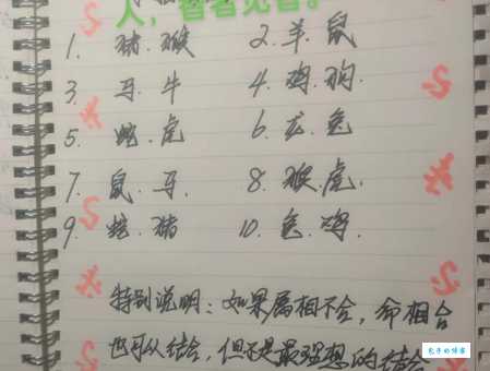 自强不息是指哪个生肖，精选解答解释落实