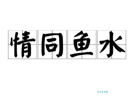 鱼水之情是指什么生肖打一精准生肖，成语释义解释