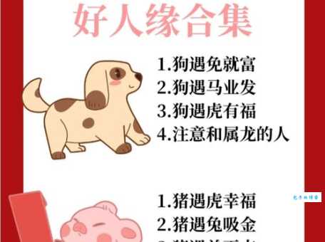 鸡毛蒜皮打猜最佳准确生肖，精选答案落实
