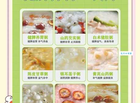 养胃吃什么食物最好 医生推荐的5种养胃食材