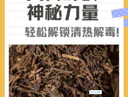 大青叶的功效与作用全解析 这种叶子居然这么有用