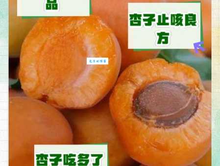 吃杏有什么好处和坏处 杏子的营养与禁忌全解析