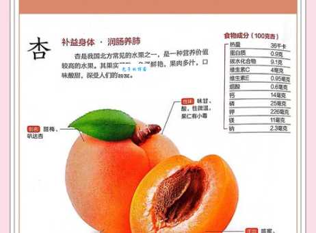吃杏有什么好处和坏处 杏子的营养与禁忌全解析
