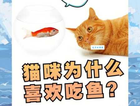 猫为什么喜欢吃鱼 原来和它们的祖先有关