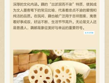 藕是莲的哪部分 莲藕和荷花是什么关系