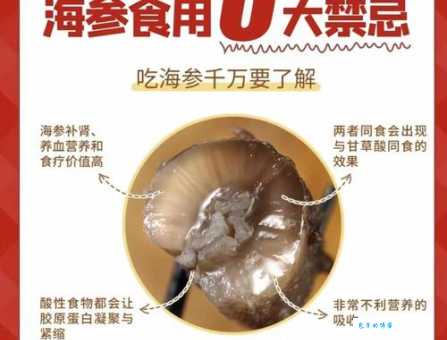 海参到底补什么 揭秘海参的五大滋补功效