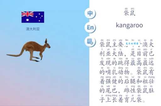 袋鼠的尾巴有什么作用科学家告诉你它的神奇之处