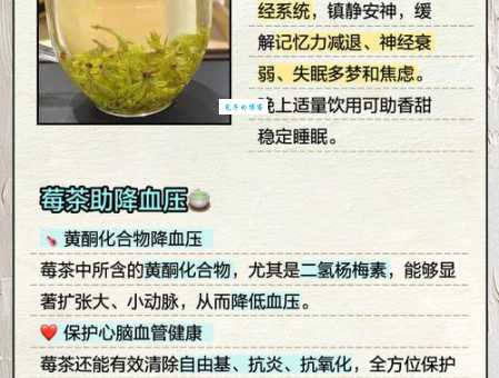 莓茶喝多了会怎样 莓茶的好处和坏处都要知道