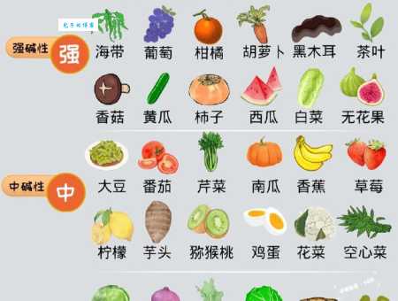 碱性食品都有哪些 了解这些食物让你吃得更健康