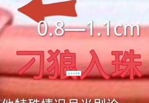入珠是什么意思啊 很多人都不懂的真实解释