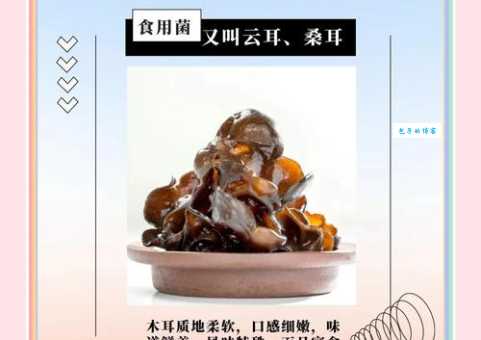 黑木耳的营养价值适合哪些人群食用