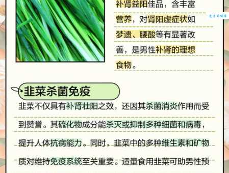 韭菜的功效与作用一览吃韭菜有哪些益处