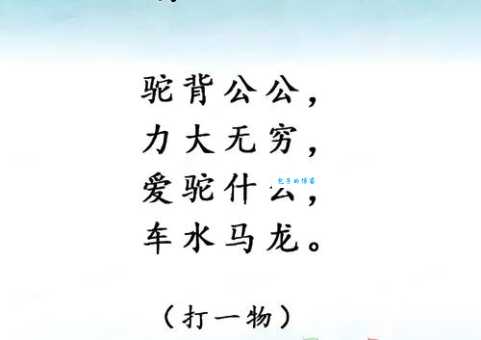 千人一面打一动物谜底揭晓原来是指它