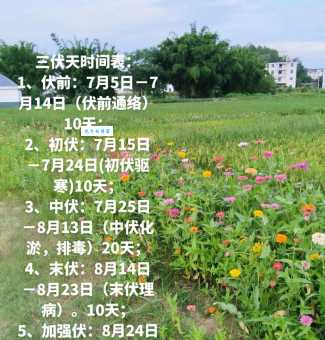 一伏是多少天 夏季三伏天的具体天数解析