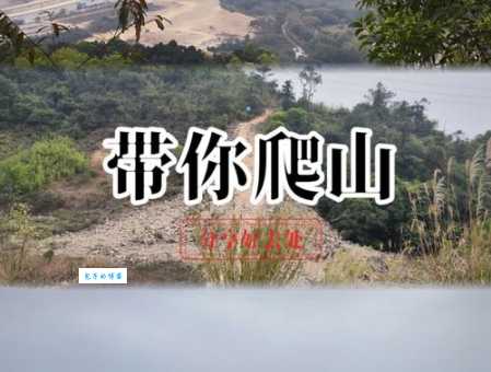 带你去爬山什么梗原来是出自这部电视剧