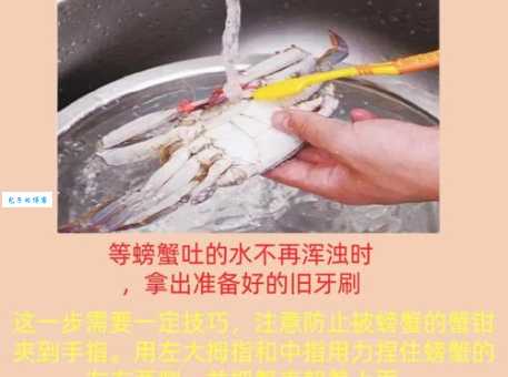 大闸蟹怎么洗才干净这些技巧一定要知道
