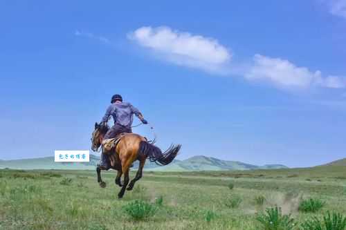 策马奔腾什么意思 原来是这样理解的