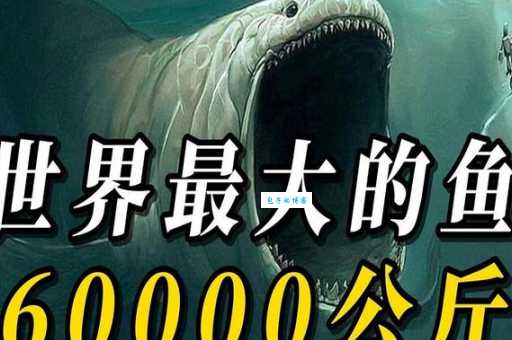 世界上最大的鱼类特点 看它如何称霸海洋世界