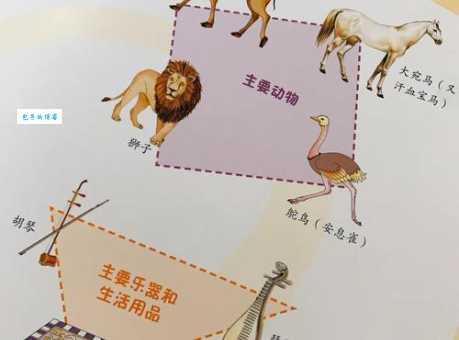 骆驼的驼峰里主要储存的是什么 驼峰如何帮助骆驼生存