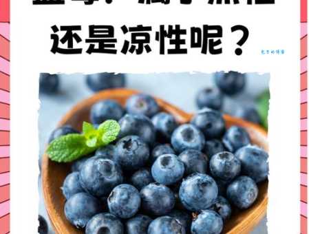 蓝莓是热性还是凉性 营养师解答常见疑问