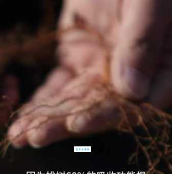 浇树浇根的意思你知道吗 正确方法很重要