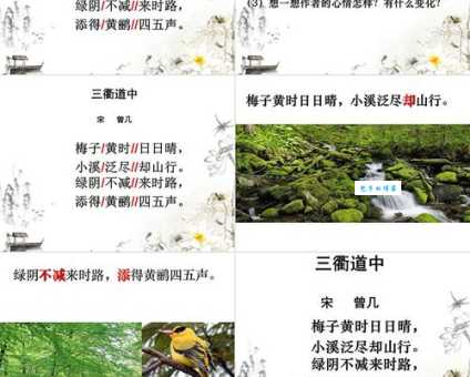 三衢道中是什么季节 告诉你这条古道最适合的旅游季节