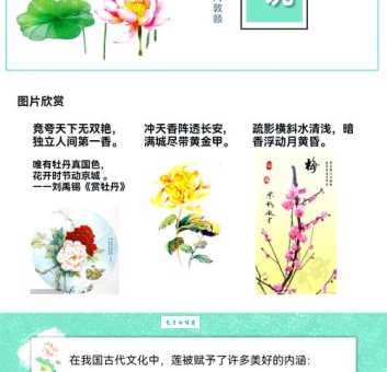 一叶青荷的意思解读古人为何偏爱这种意境