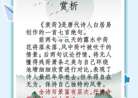 一叶青荷的意思解读古人为何偏爱这种意境