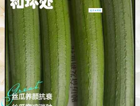 吃丝瓜十大禁忌你了解吗这些错误千万别犯