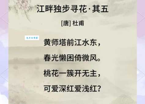 江畔独步寻花古诗意思详解 品味杜甫笔下的春天