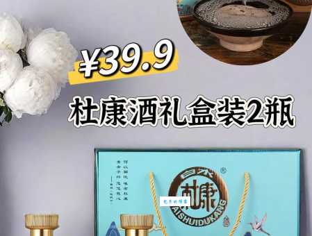 何以解忧唯有杜康中的杜康指的是哪个品牌的酒