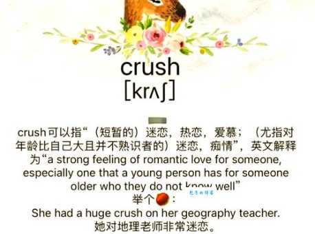 网络用语crush是啥意思 教你正确使用这个流行语