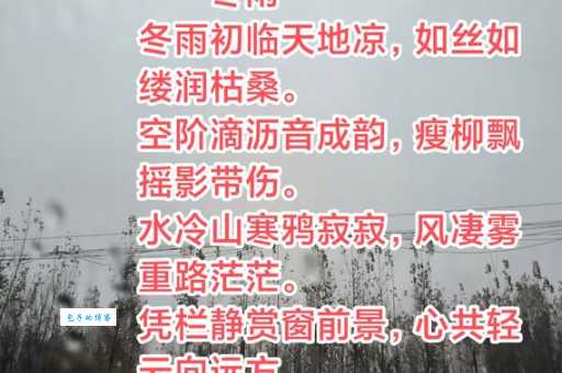 雨中黄叶树灯下白头人的意思如何体会诗人的心境