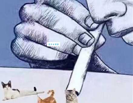 热翔是什么意思揭秘这个梗的由来和用法